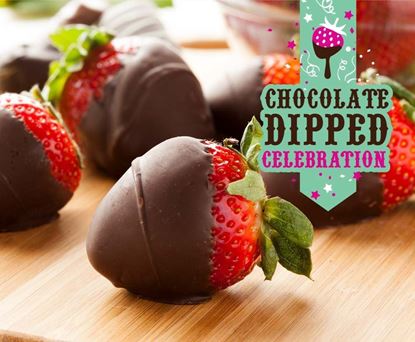 Chocolate Dipped Celebration
